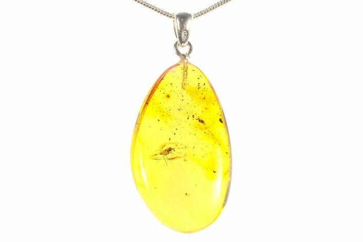 Polished Baltic Amber Pendant (Necklace) - Contains Fly! #297688